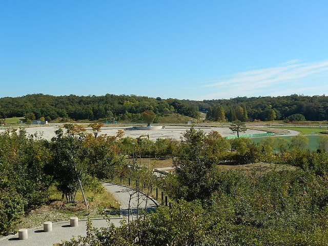 DSCN5194.jpg