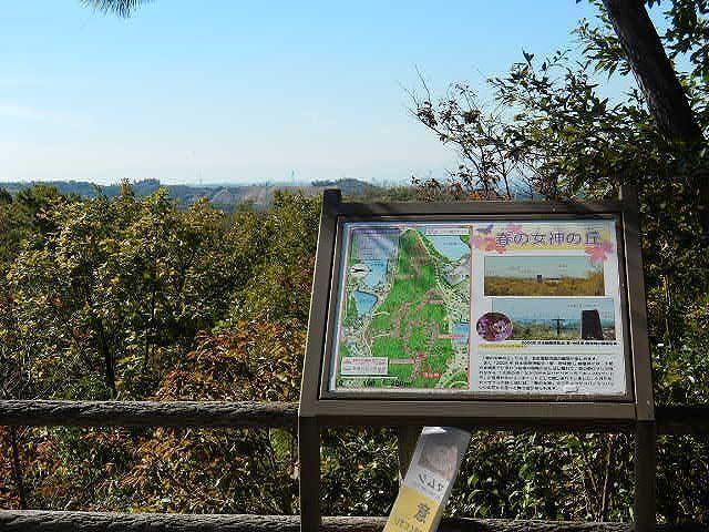 DSCN5199.jpg