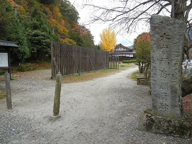 DSCN5208.jpg