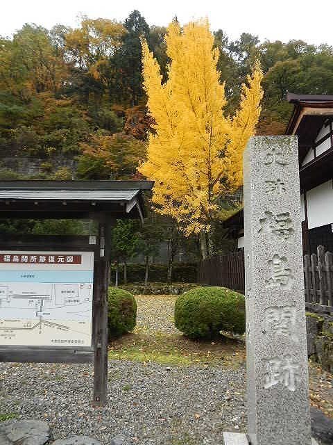 DSCN5209.jpg