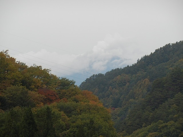 DSCN5223.jpg