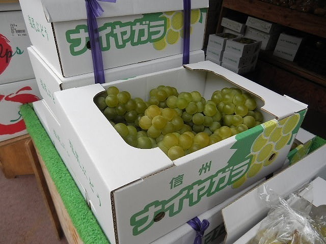 DSCN5224.jpg