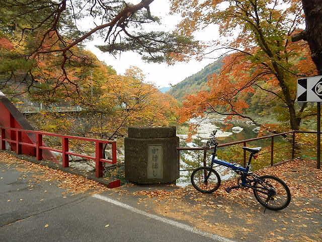 DSCN5228.jpg