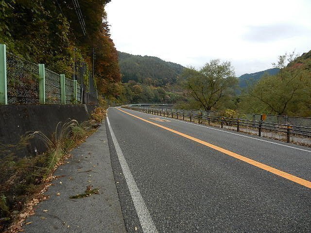 DSCN5231.jpg