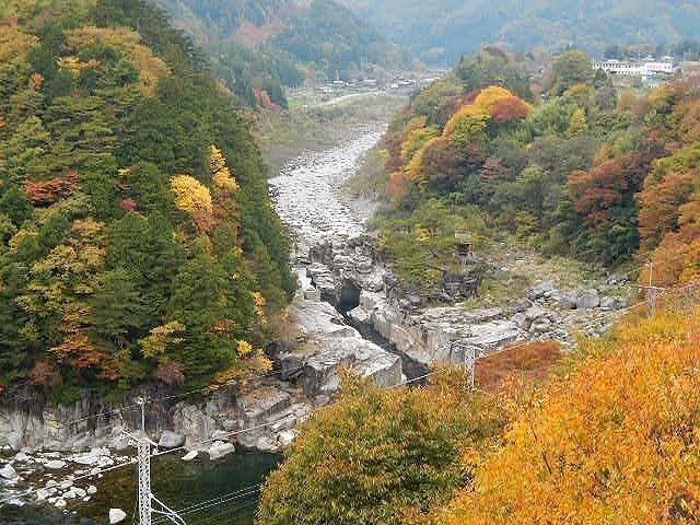 DSCN5233.jpg
