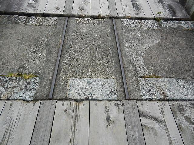 DSCN5253.jpg