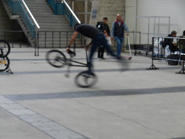 DSCN5270.jpg
