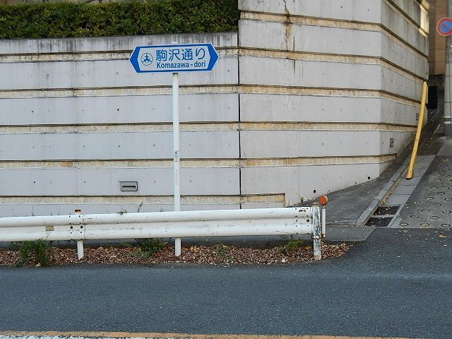DSCN5293.jpg