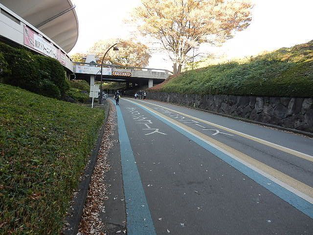 DSCN5296.jpg