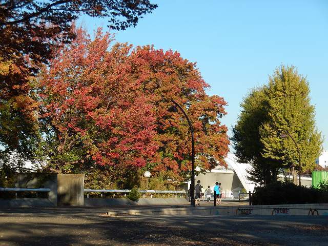 DSCN5299.jpg