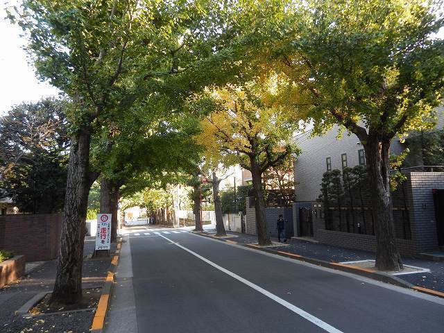 DSCN5301.jpg