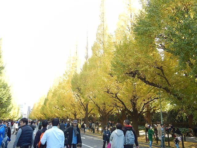 DSCN5307.jpg