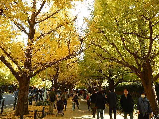 DSCN5311.jpg