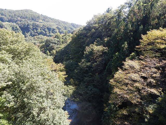 DSCN5356.jpg