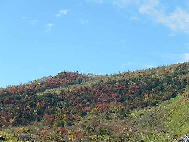 DSCN5381.jpg