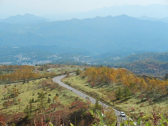 DSCN5384.jpg