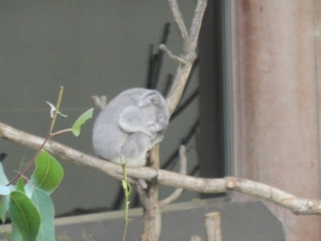 DSCN5538.jpg