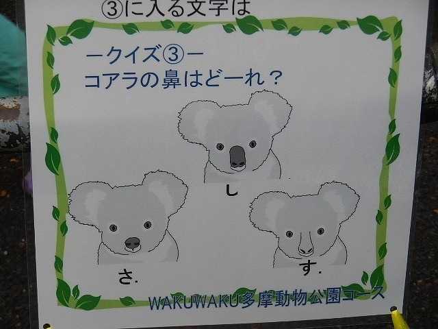 DSCN5539.jpg