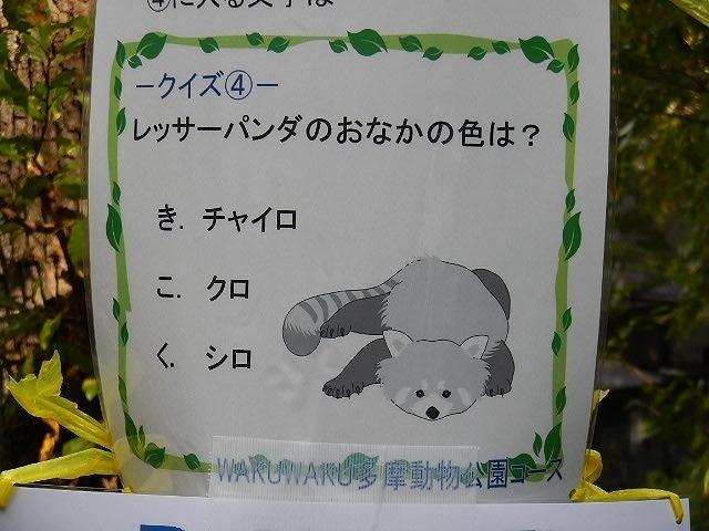 DSCN5542.jpg