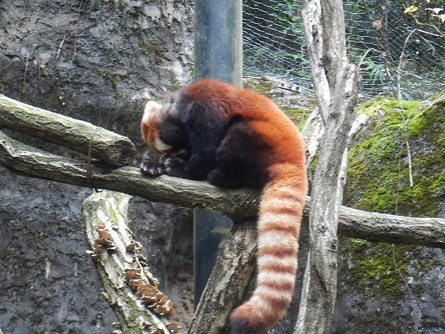 DSCN5544.jpg