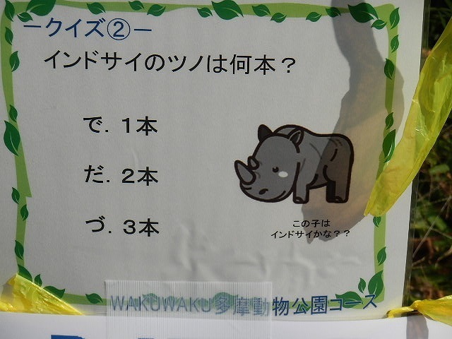 DSCN5551.jpg
