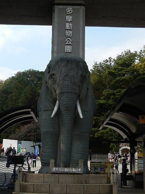 DSCN5567.jpg