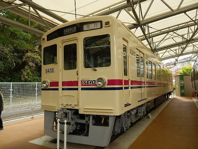 DSCN5584.jpg