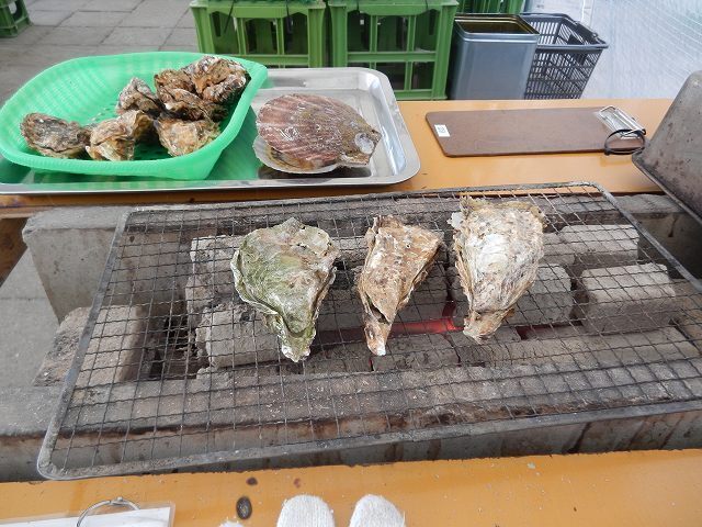 DSCN5682.jpg