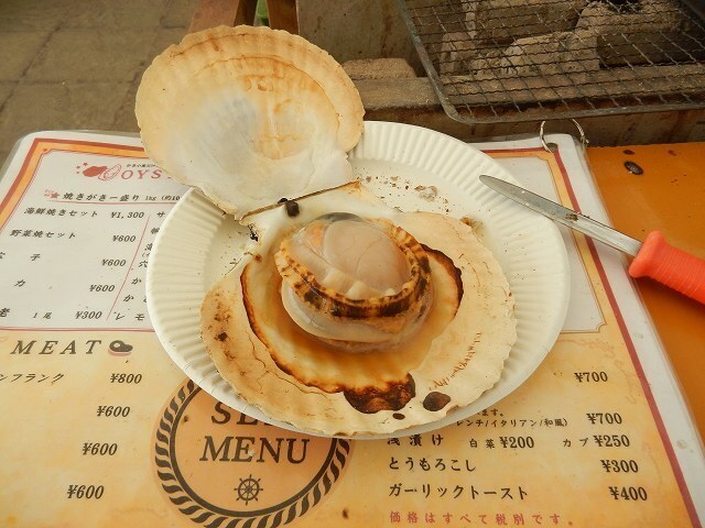 DSCN5685.jpg