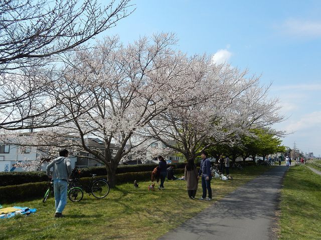 DSCN5760.jpg