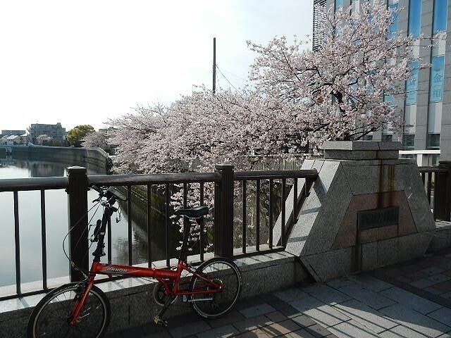 DSCN5807.jpg