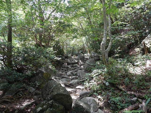 DSCN5823.jpg