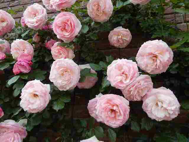 DSCN6009.jpg