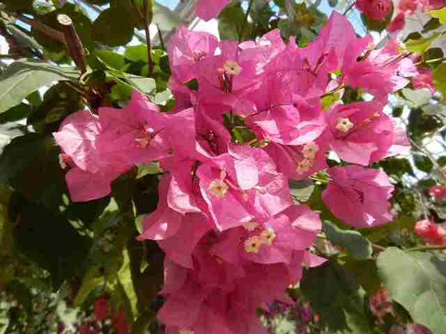 DSCN6031.jpg