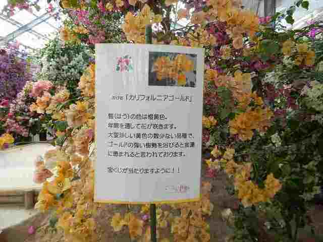 DSCN6035.jpg
