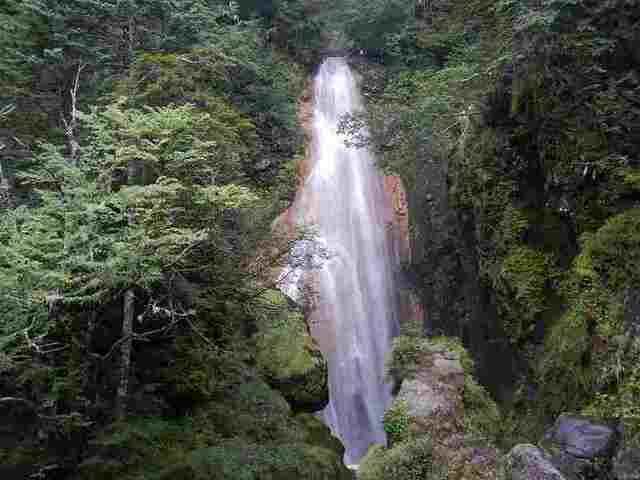 DSCN6236.jpg