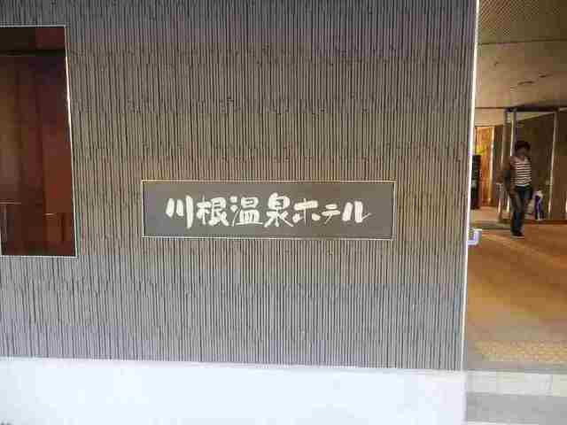 DSCN6526.jpg
