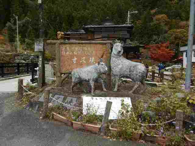 DSCN6537.jpg