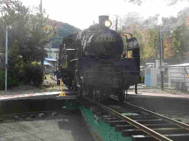 DSCN6557.jpg