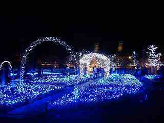 DSCN6931.jpg
