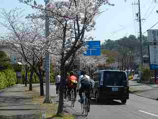DSCN7020.jpg