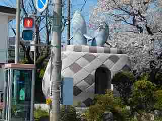 DSCN7024.jpg