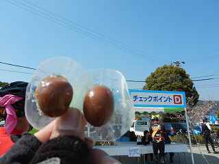 DSCN7030.jpg