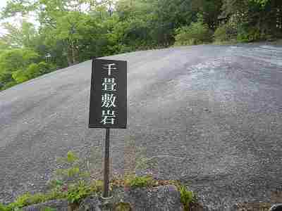 DSCN7112.jpg