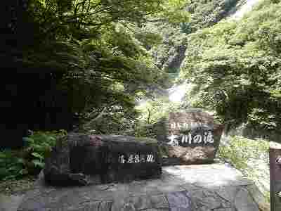 DSCN7226.jpg