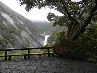 DSCN7229.jpg