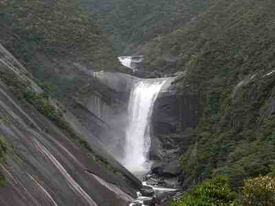 DSCN7230.jpg