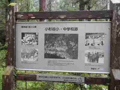 DSCN7238.jpg