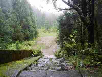 DSCN7239.jpg