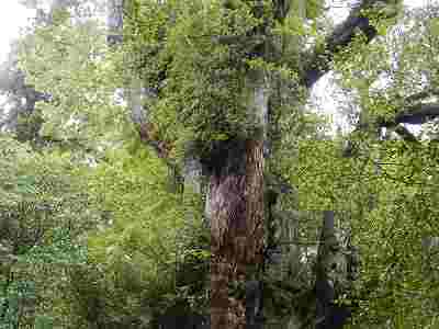 DSCN7253.jpg